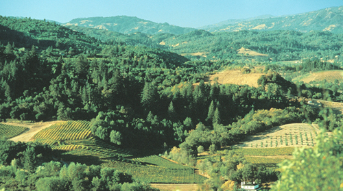 Dry Creek Valley